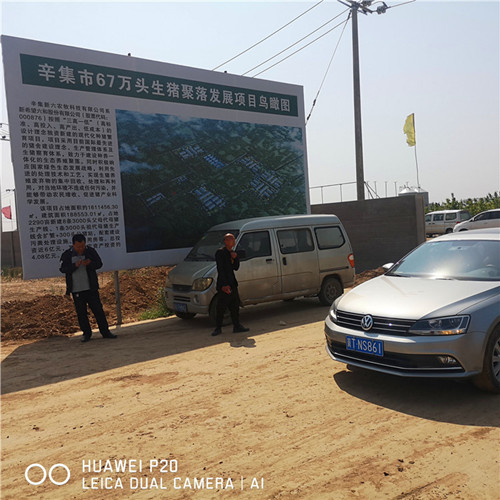 辛集市67萬頭生豬聚落采購久久精品午夜一区二区福利鋼三柱午夜成人网址